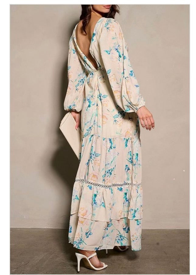 Long SLV V-neck Floral Maxi Dress