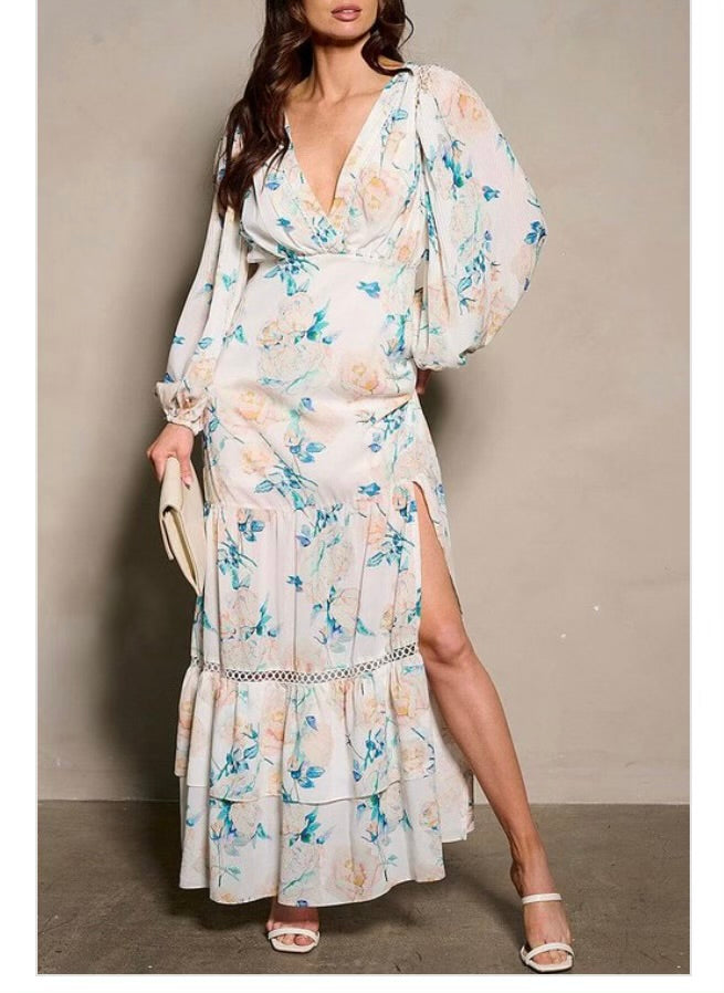 Long SLV V-neck Floral Maxi Dress