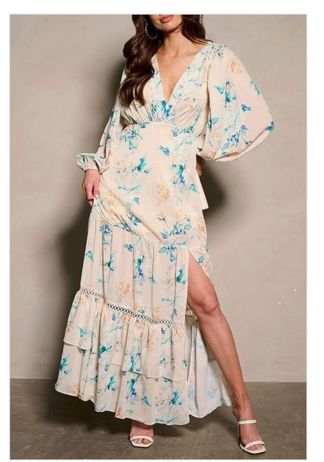 Long SLV V-neck Floral Maxi Dress